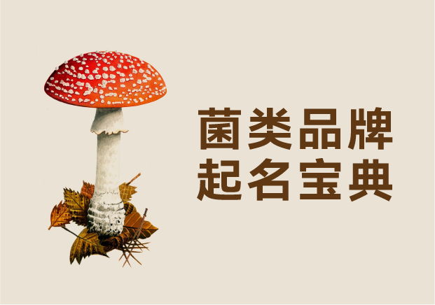 菌類(lèi)品牌起名寶典：從寓意到商標(biāo)的全流程指南