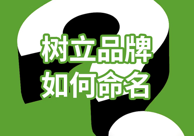 品牌獨角獸：樹立品牌如何命名，引爆市場熱潮
