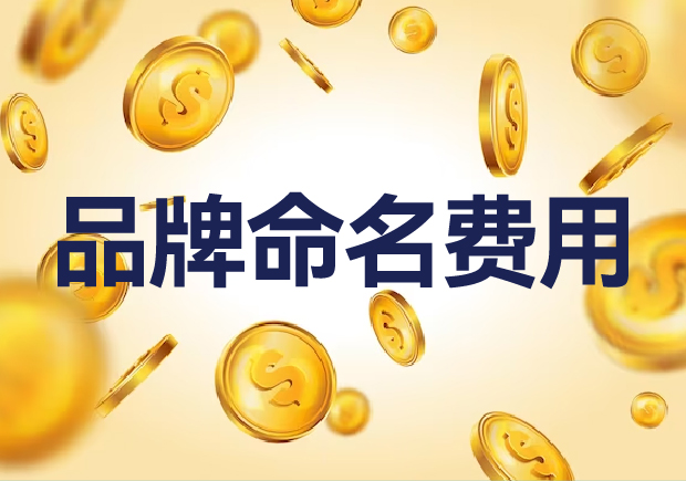 國(guó)內(nèi)外品牌命名費(fèi)用是多少？