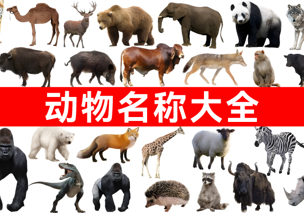 我們正在構建網(wǎng)絡上最全面的動物名稱庫！.jpg